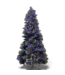49618 Pre-Lit Frosted Emerald Christmas Tree 9.5' ft