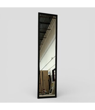 49773 Black Aluminum Framed Mirror 24" x 102"