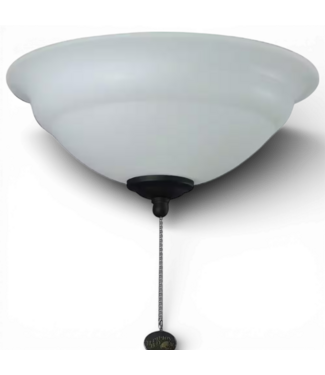 49796 2-Light LED Indoor Ceiling Fan Light Kit