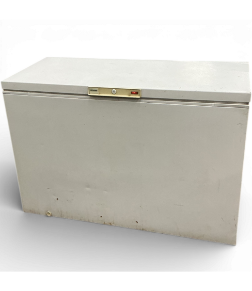 49861 Deep Freezer 50"W