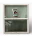 49878 Single Hung Vinyl Window 47.1875"W x 54.1875"H