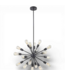 50049 Matte Black 18-Light Sputnik Hanging Light
