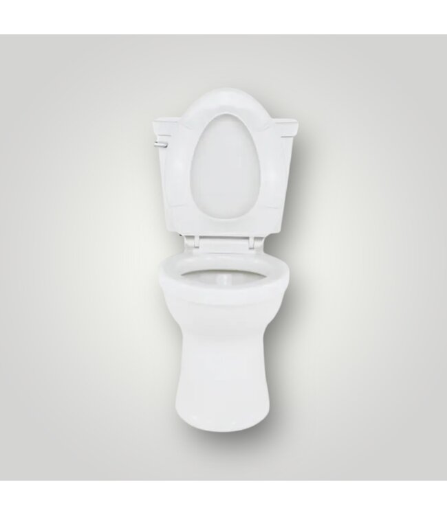 50053 White Elongated 2-pc Toilet