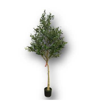 50403 Green Indoor/Outdoor Floor Olive Artificial Tree