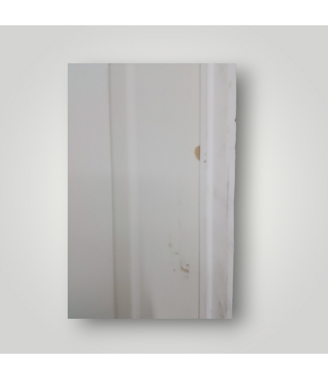 50393 28-in x 80-in Prehung 2-panel Interior Door