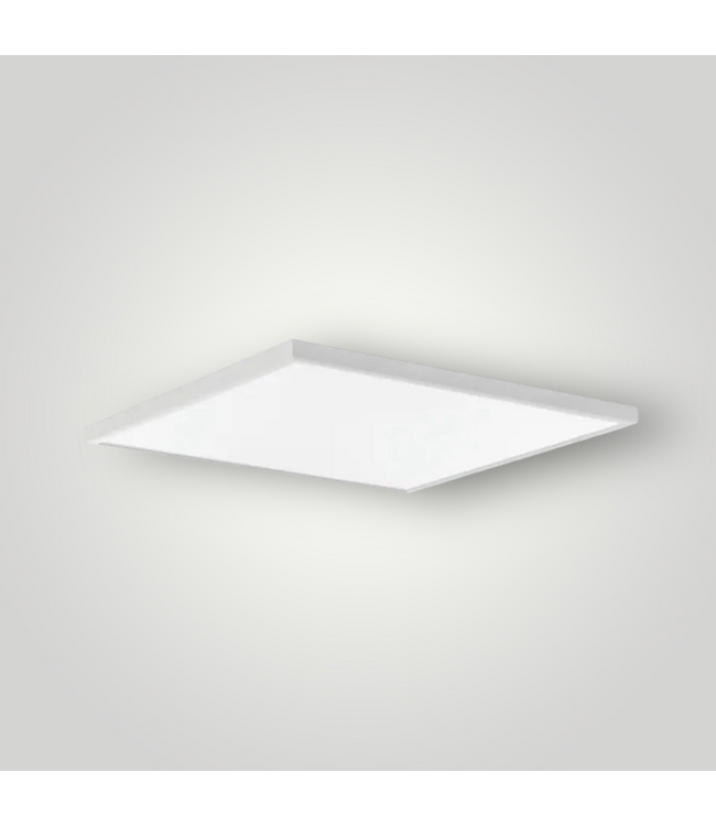 50445 2' x 2' Neutral White LED Panel