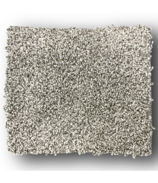 50630 Shag Heathered Gray Carpet Roll 288 sq. ft.