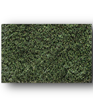 50835 Artificial Grass Fern Synthetic Turf 870 sq. ft.