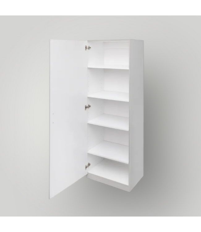 51076 24-in Gray Wall-Mount Storage Cabinet