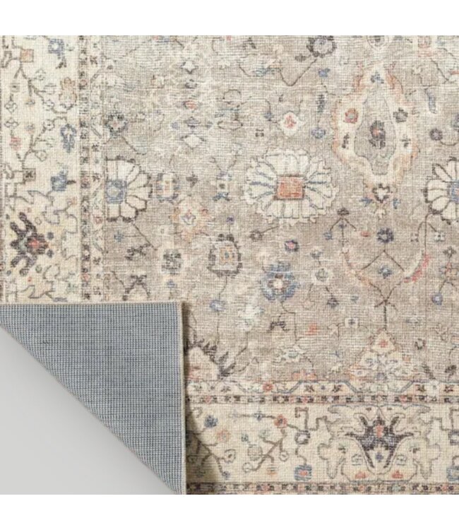 51102 Davina  Area Rug 2' x 4'