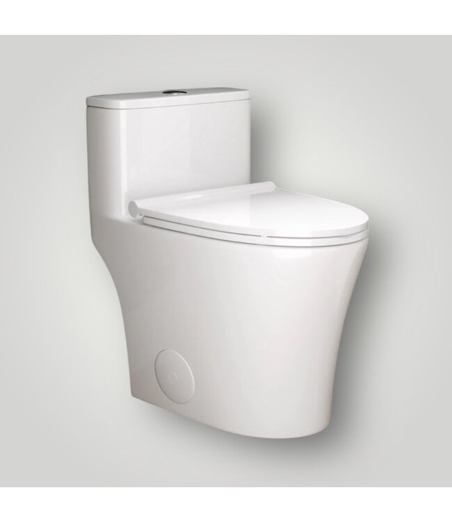 51178 White Elongated 1-Piece Toilet