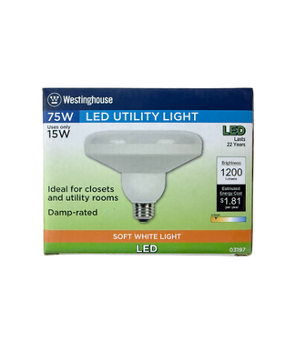 45063 75W LED Utility Flood Light