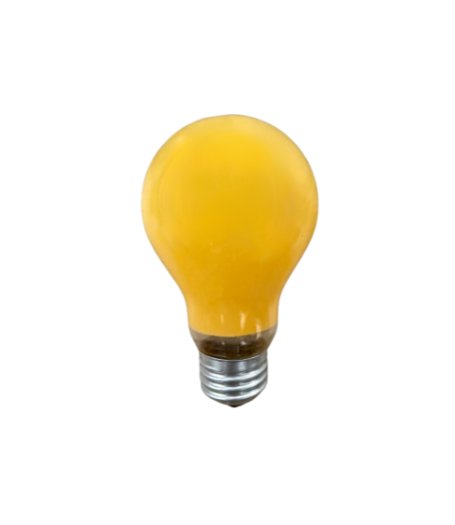 45060 Orange Party Bulb. 25W