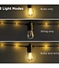 51379 Firefly Rope String Light 24'
