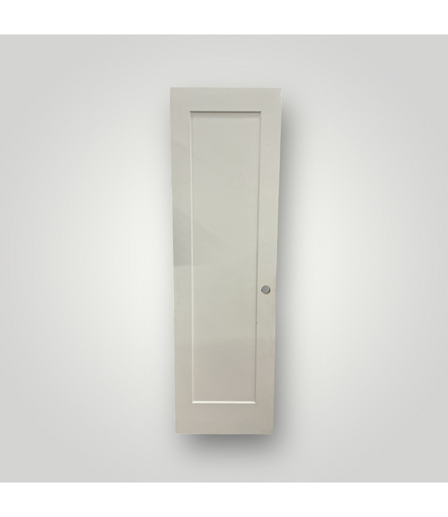 51398 Single Panel Slab Door 24-in W x 80-in H