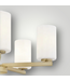51541 5-Light Brushed Gold Etched Glass Chandelier
