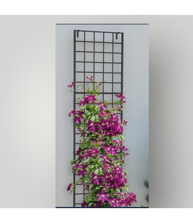 51588 Black Iron Traditional Garden Trellis 30"W