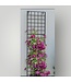 51588 Black Iron Traditional Garden Trellis 30"W