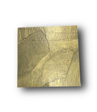 51598 Coral Reef Gold Dust Vinyl Tile (135 Sq.Ft.)