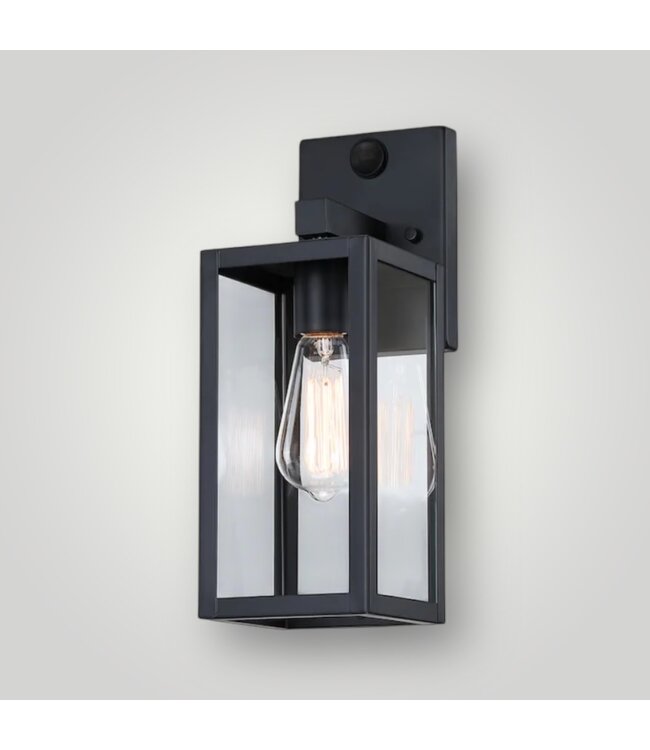 51765 Black 1-Light Dusk to Dawn Wall Light