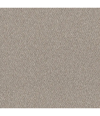 51970 Tenacity Sandstone Gray Textured Indoor Carpet 420 sq. ft.