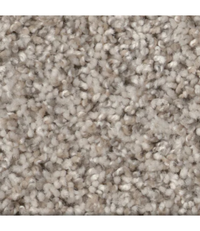 51970 Tenacity Sandstone Gray Textured Indoor Carpet 420 sq. ft.