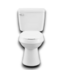 52126 White 2-Piece Toilet Kit