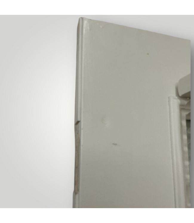 52170 Exterior Door With Pet Door & Blinds 36"W x 79"H