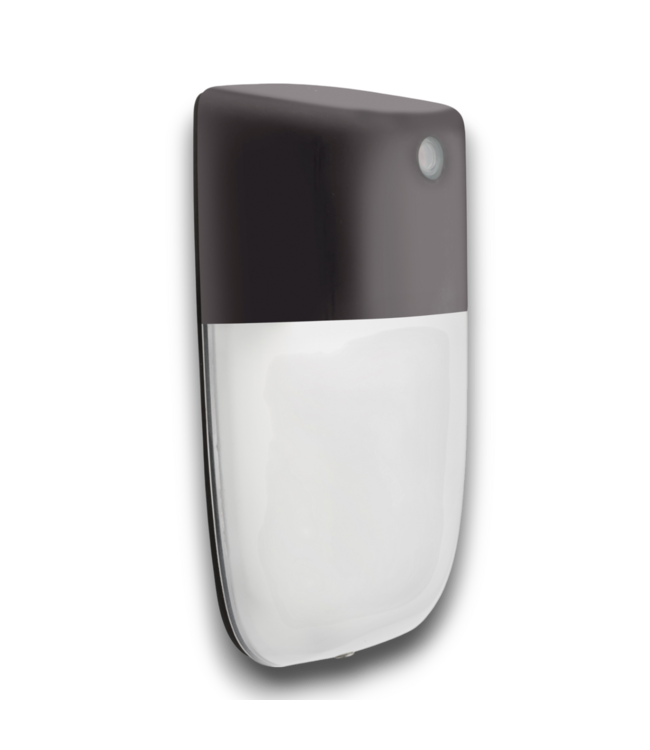 52293 LED Wall Sconce Dusk To Dawn