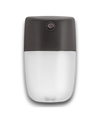 52293 LED Wall Sconce Dusk To Dawn