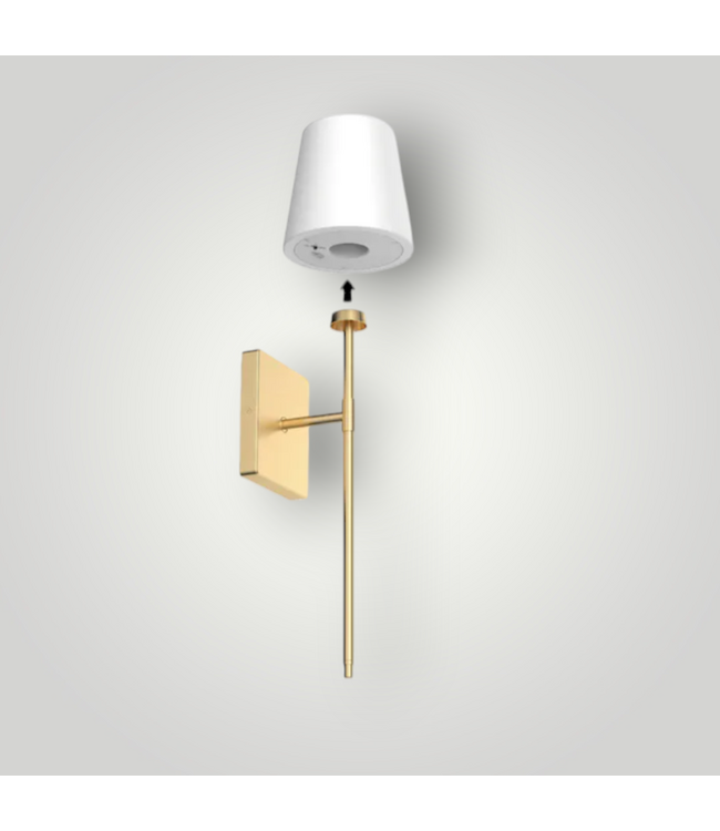52356 Matte Gold 1-Light Bathroom Vanity Light