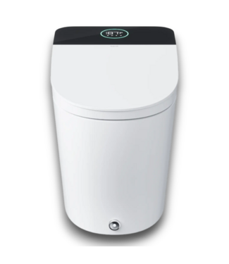 52559 Artistic Bidet White Dual Flush Elongated Smart Toilet