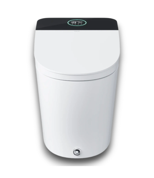 52559 Artistic Bidet White Dual Flush Elongated Smart Toilet