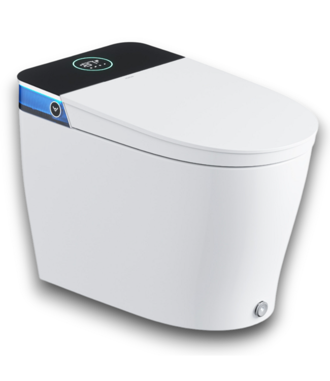 52559 Artistic Bidet White Dual Flush Elongated Smart Toilet