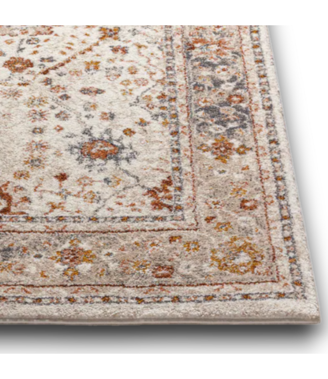 52572 Camille Border Indoor. Floral/Botanical Area Rug 9' x 12'