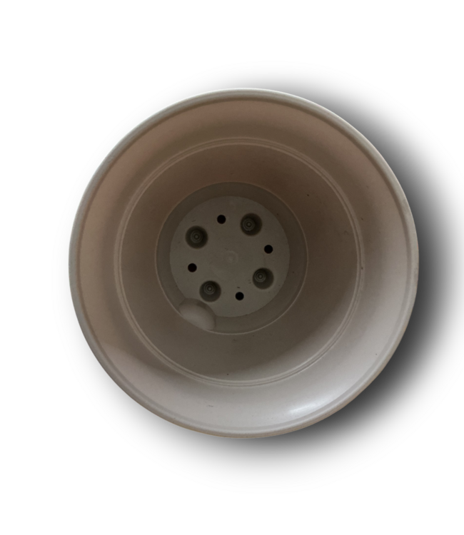 52995 Blush Beige Plastic Planter 8"