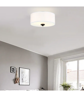 53010 White Indoor Flush Mount Light with Frosted Glass