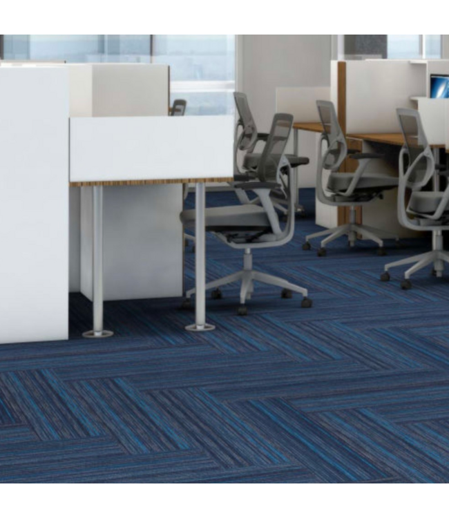 53094 Philadelphia Contract New Age Stellar Carpet Tile 180 sq. ft.