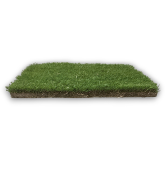 53108 Bermuda Grass Patch 16"W x 24"L
