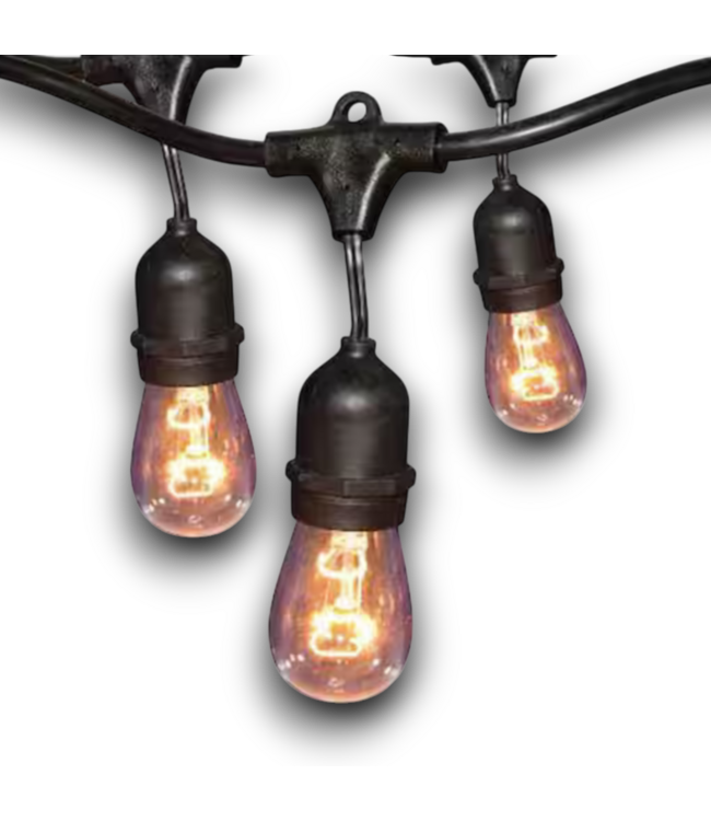 53145 Black Indoor/Outdoor String Light 24'