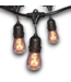 53145 Black Indoor/Outdoor String Light 24'