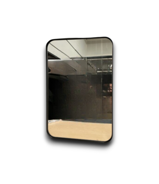 53236 Blk Mirrored Rectangle Medicine Cabinet 16" x 24"