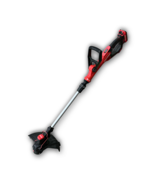 53284 Cordless Weedwacker with Battery
