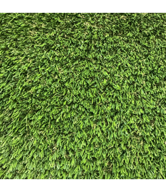 53289 Colorado Green Artificial Grass Roll 9' x 9'