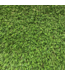 53289 Colorado Green Artificial Grass Roll 9' x 9'