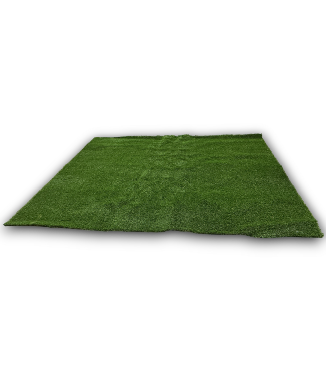 53289 Colorado Green Artificial Grass Roll 9' x 9'