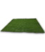 53289 Colorado Green Artificial Grass Roll 9' x 9'
