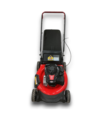 53429 21" Gas Push Lawn Mower Briggs And Stratton Engine
