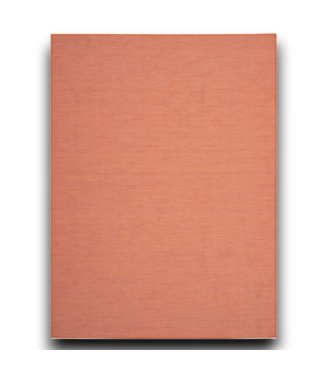 53550 Terracotta Rectangular Indoor/Outdoor Rug 8 x 10 ft.