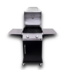 53635 Black & Silver 2-Burner Gas Grill